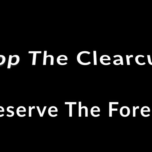 voice sign Amy, Stop the clear cuts. Preserve the forest.